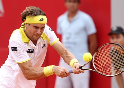 David Ferrer